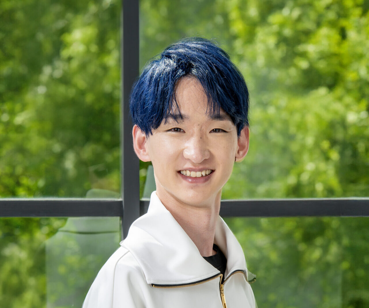 Image hover effect image